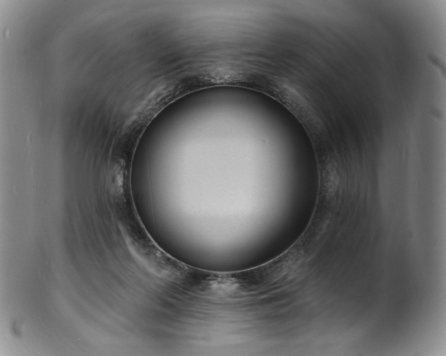X0000101700214200807101545