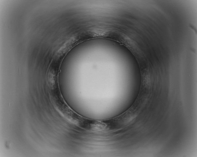 X0000101700215200807101544