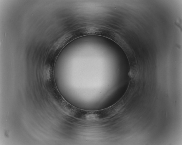 X0000101700216200807101544