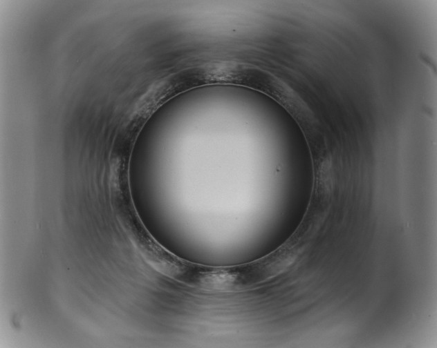 X0000101700217200807101544