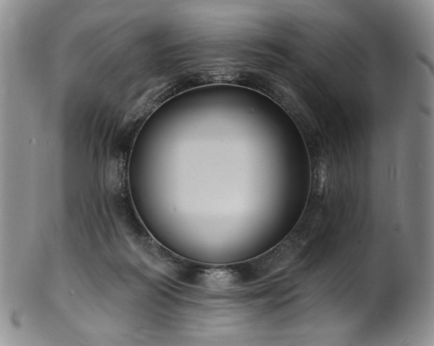 X0000101700218200807101544