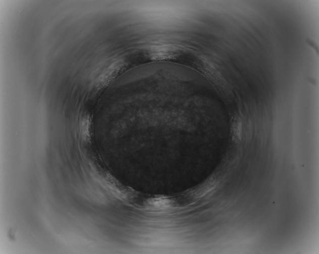 X0000101700219200807101544