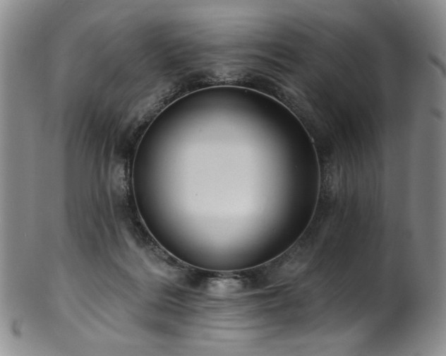 X0000101700220200807101544
