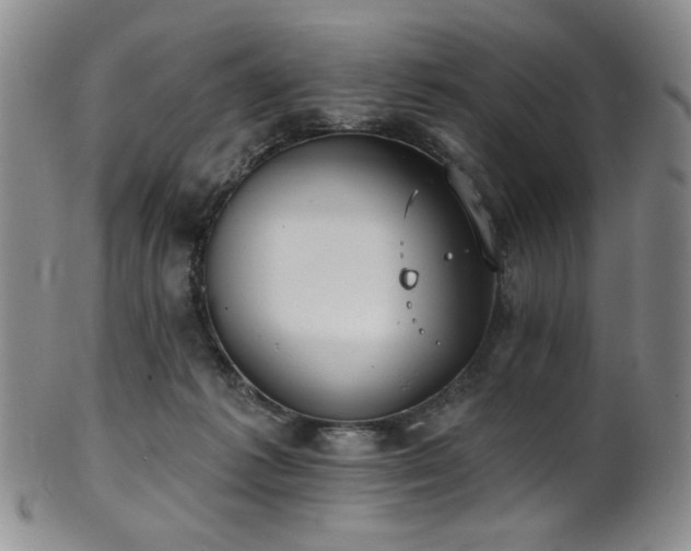 X0000101700221200807101544