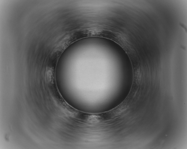 X0000101700222200807101544