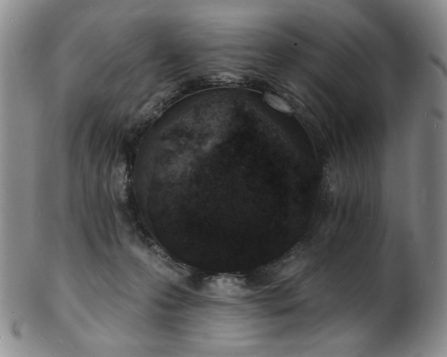 X0000101700223200807101544