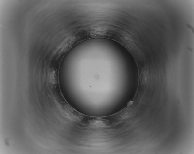 X0000101700224200807101544