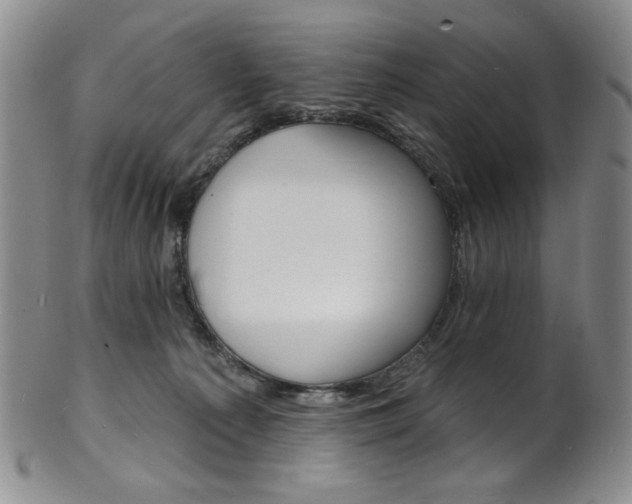 X0000101700225200807101544