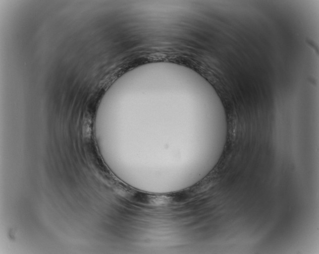 X0000101700226200807101544