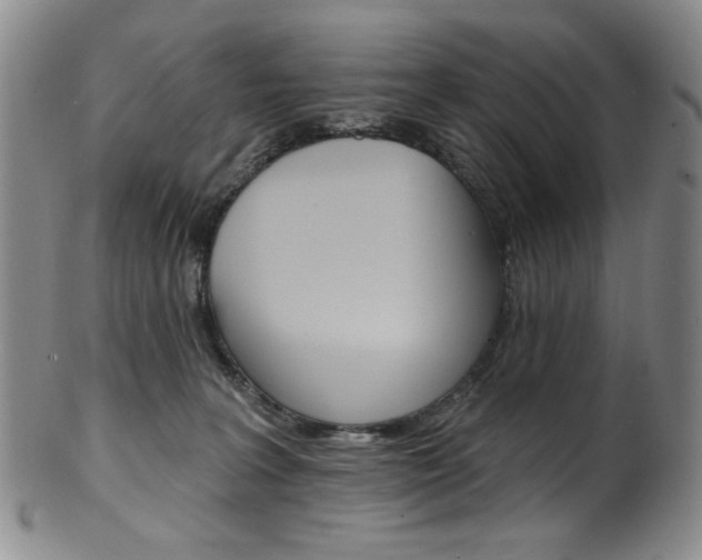X0000101700227200807101544