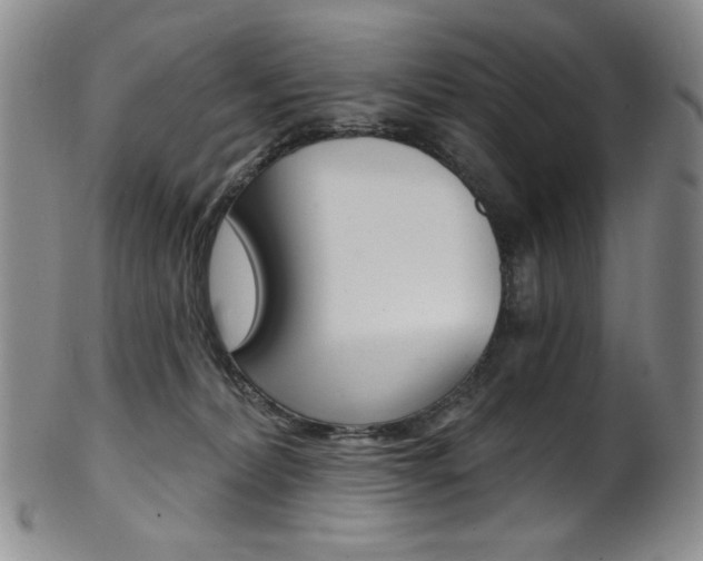 X0000101700228200807101544