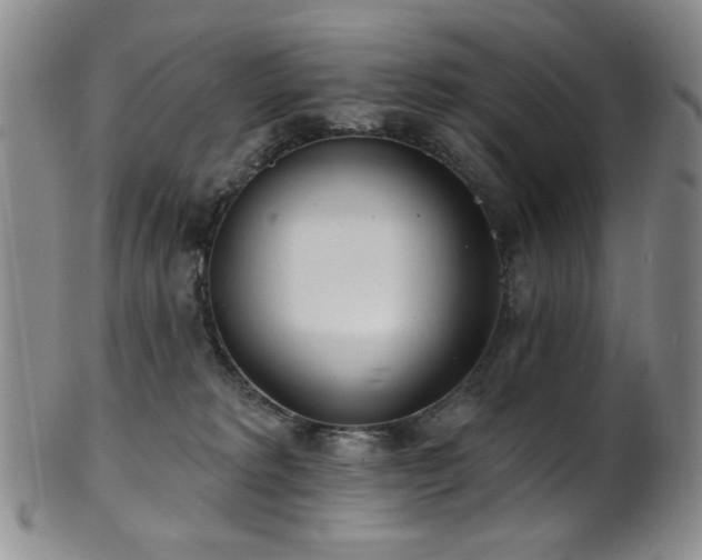 X0000101700229200807101544
