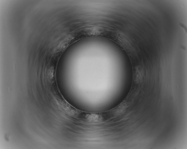 X0000101700230200807101544