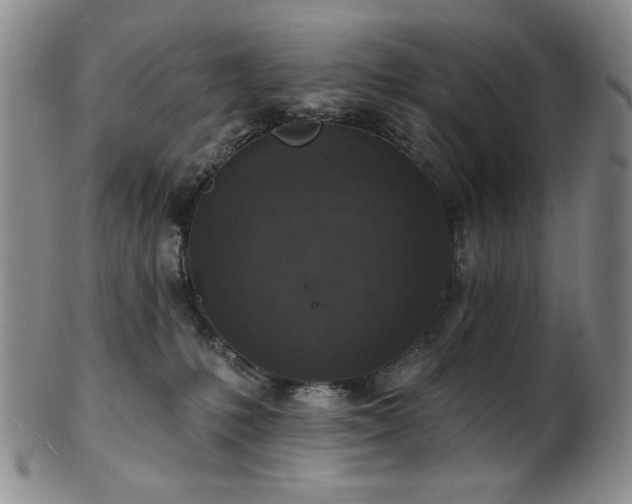 X0000101700231200807101544