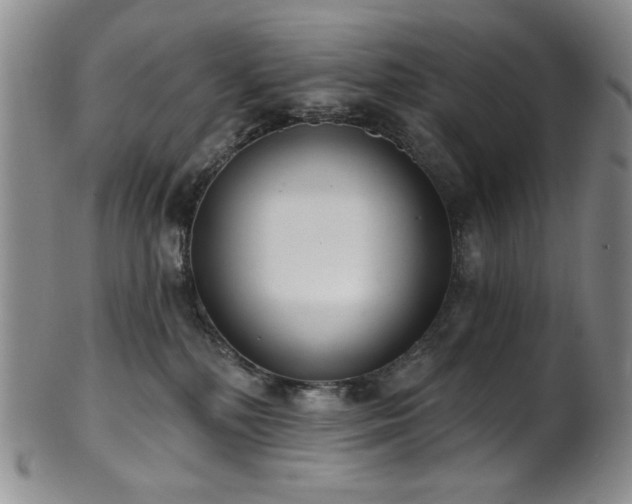 X0000101700232200807101544