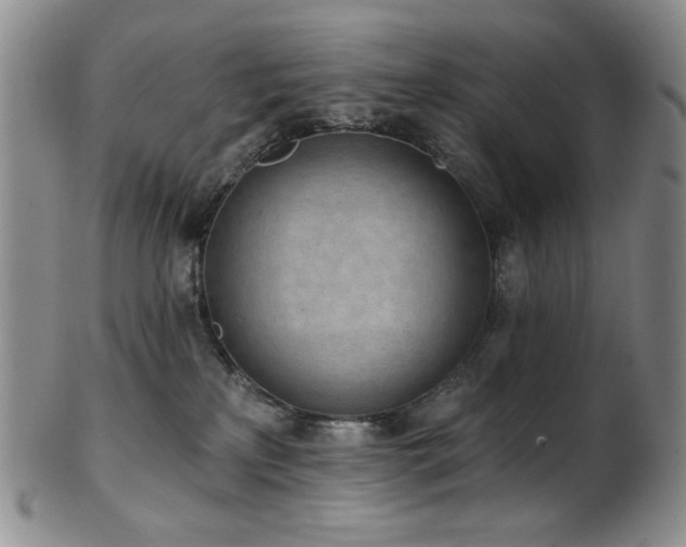 X0000101700233200807101544