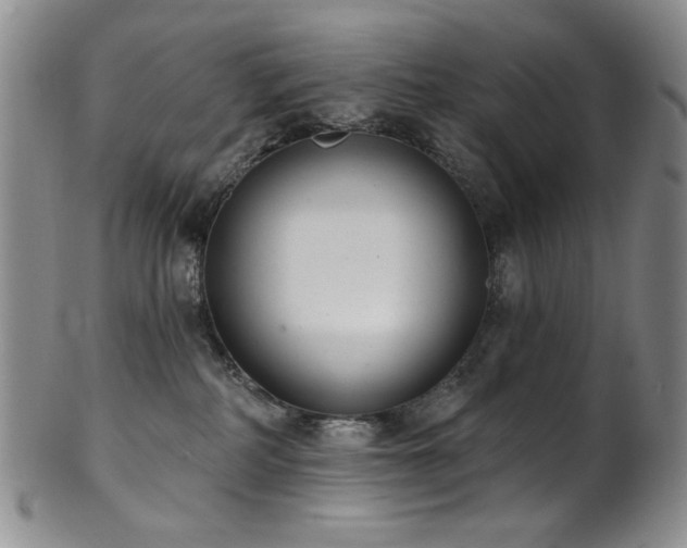 X0000101700234200807101544