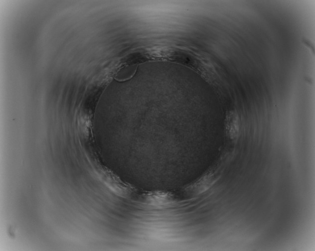 X0000101700235200807101544