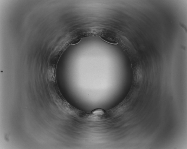 X0000101700236200807101544