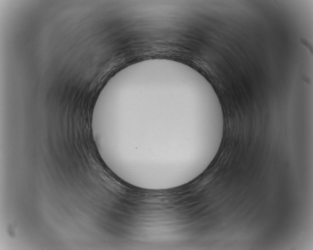 X0000101700237200807101544