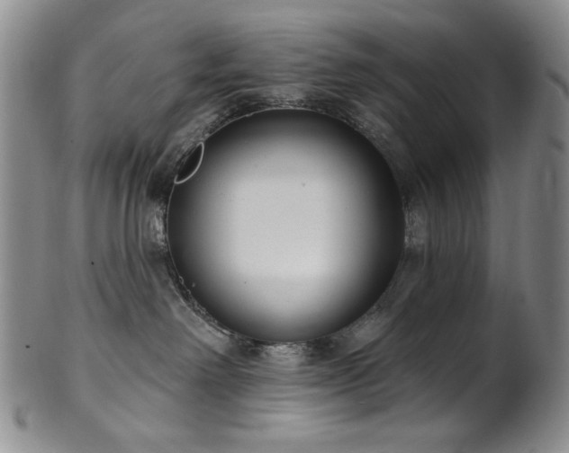 X0000101700238200807101544