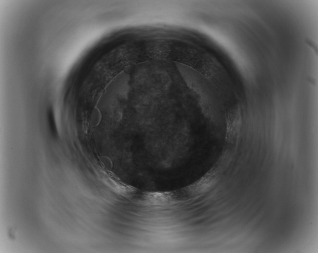 X0000101700239200807101544