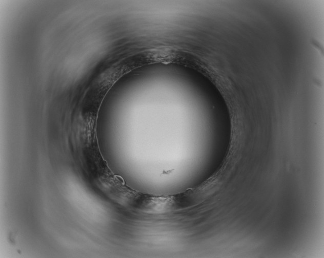X0000101700240200807101544