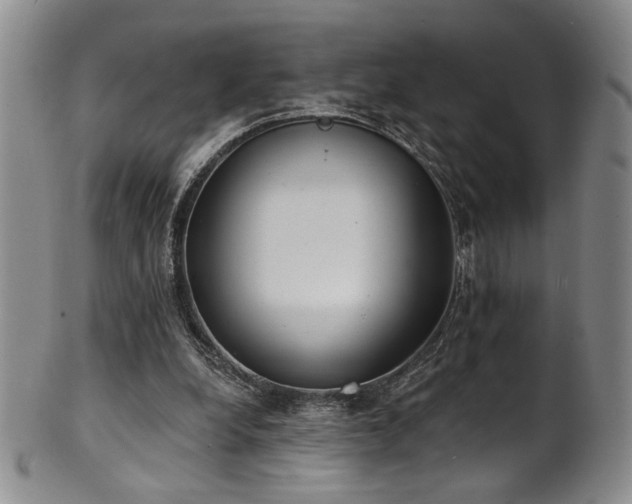 X0000101700248200807101543