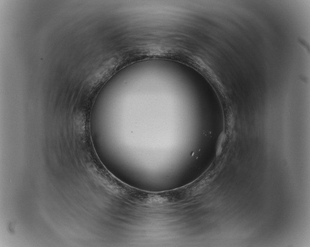 X0000101700257200807101543
