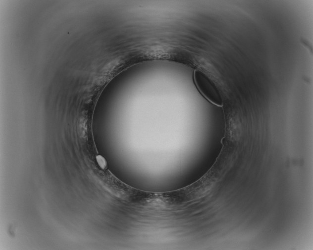 X0000101700259200807101543