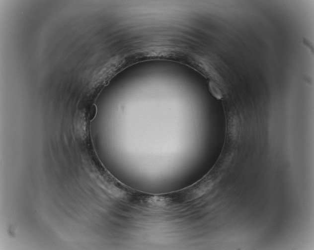 X0000101700261200807101544