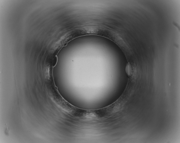 X0000101700262200807101544