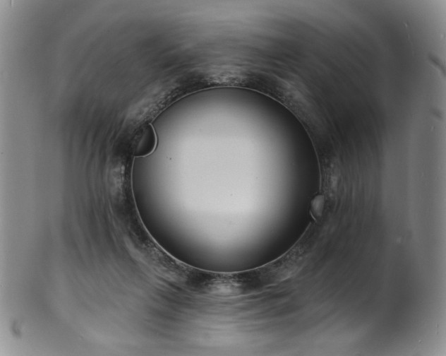 X0000101700263200807101544