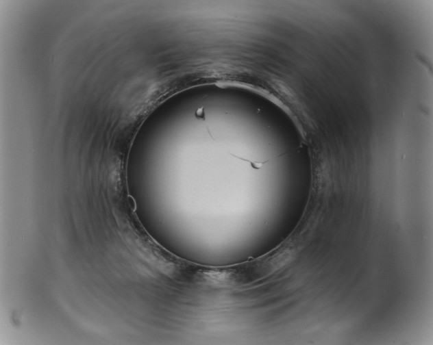 X0000101700265200807101544