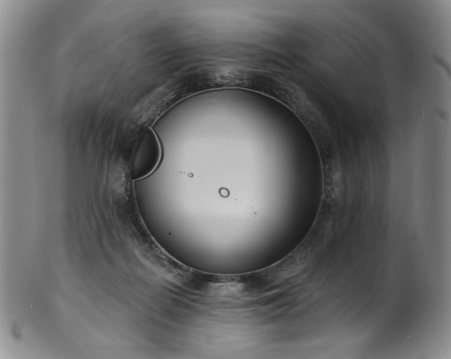 X0000101700266200807101544