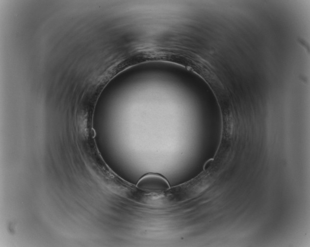 X0000101700267200807101544