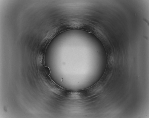X0000101700268200807101544