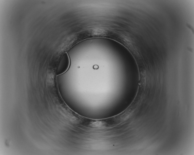 X0000101700269200807101544