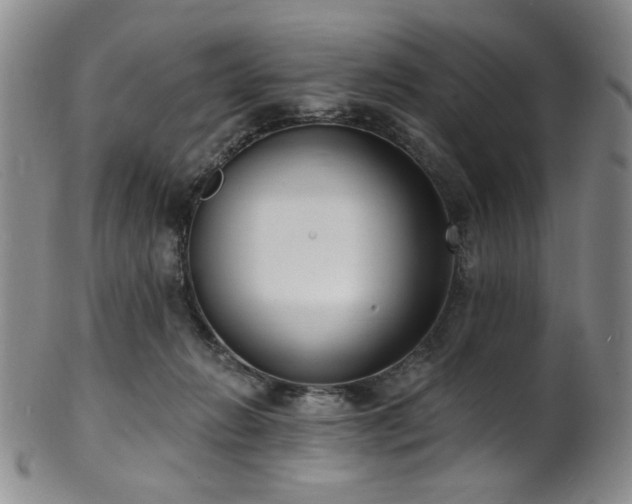 X0000101700270200807101544