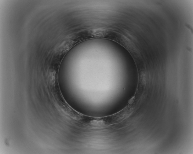 X0000101700271200807101544