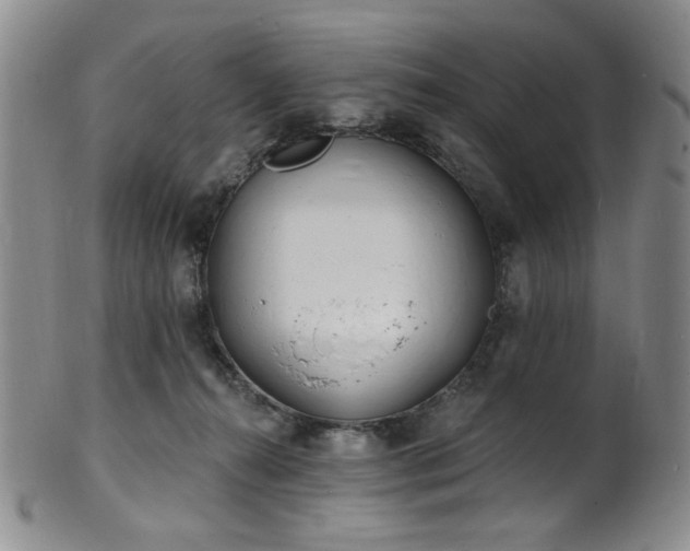 X0000101700272200807101544