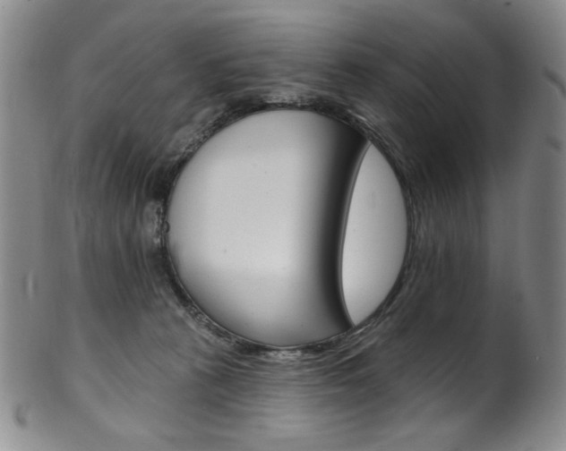X0000101700273200807101544