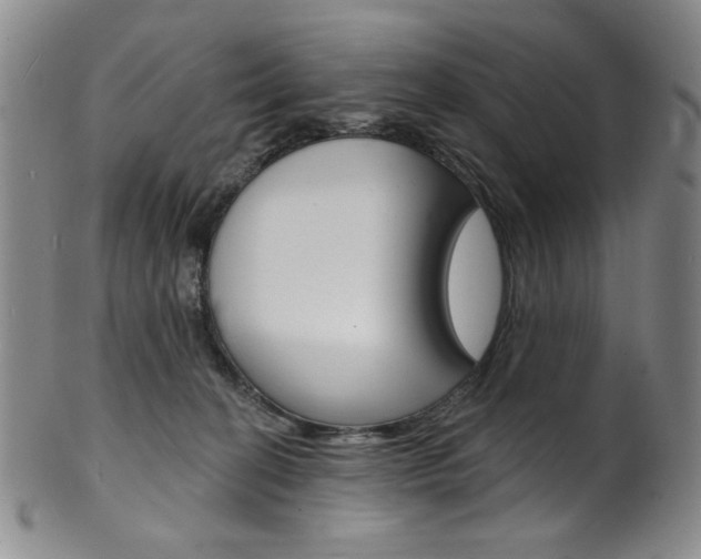 X0000101700274200807101544