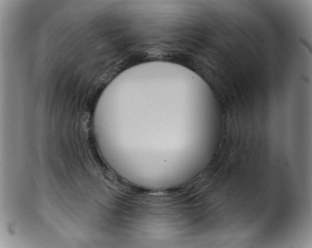 X0000101700275200807101544