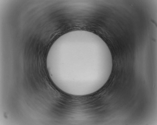 X0000101700276200807101544