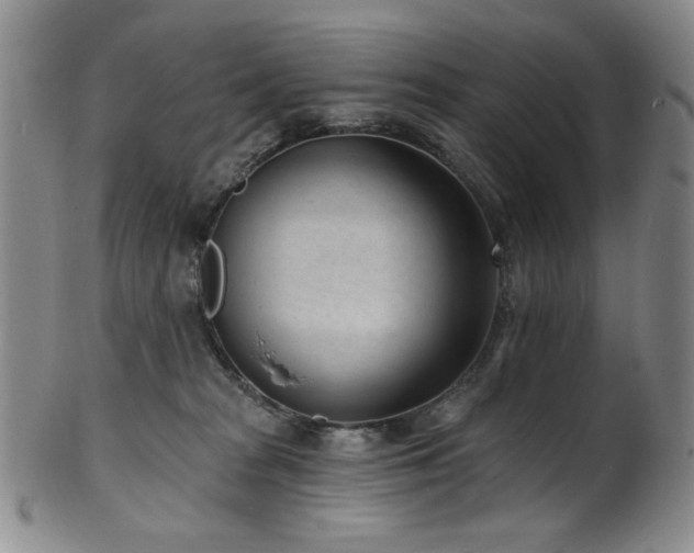 X0000101700277200807101544