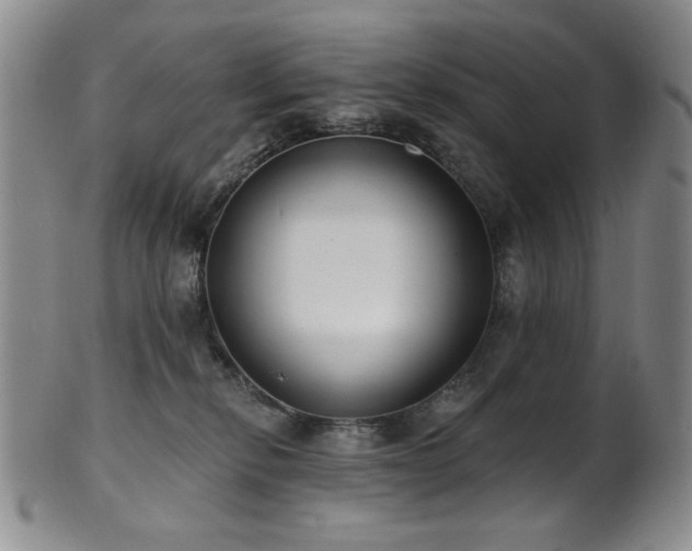X0000101700278200807101544