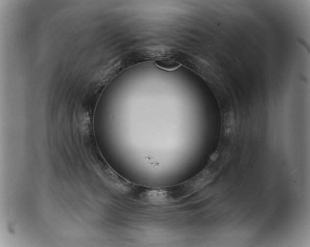X0000101700279200807101544