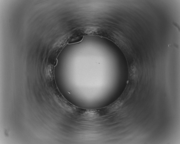 X0000101700280200807101544