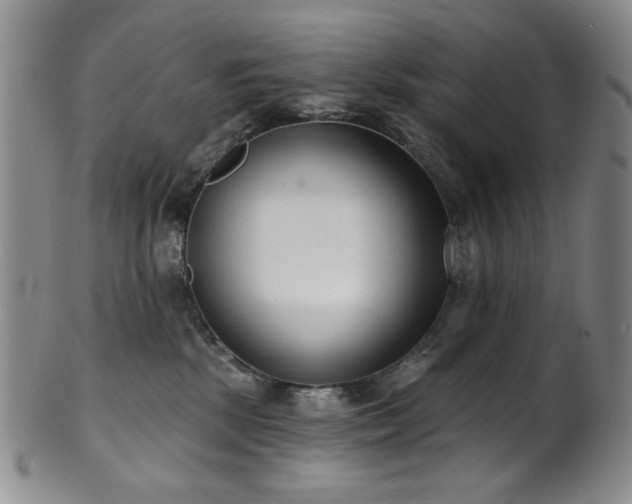 X0000101700281200807101544